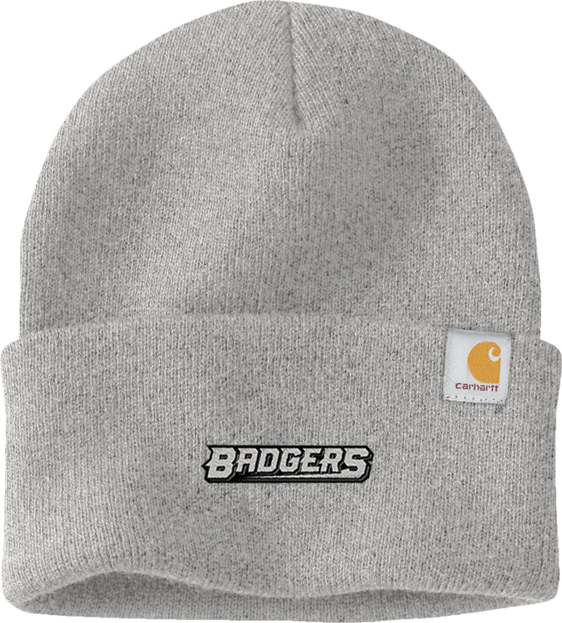 Allegheny Badgers Carhartt Watch Cap 2.0