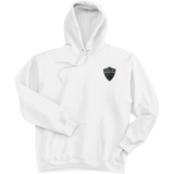 Lansing Spartans Ultimate Cotton - Pullover Hooded Sweatshirt